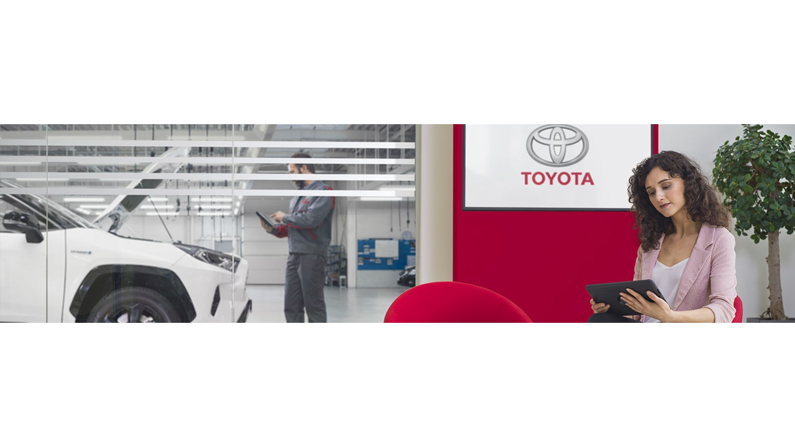 Toyota National Geographic